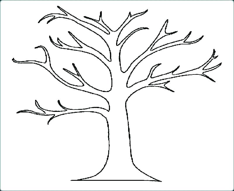 800x654 Tree Leaves Coloring Pages Palm Leaves Coloring Pages S Palm Tree