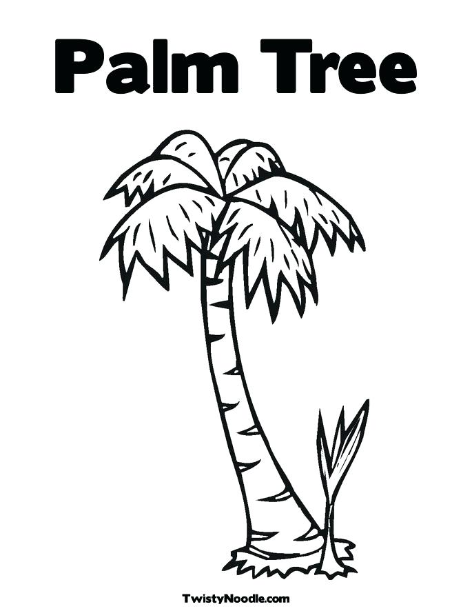 685x886 Tree Leaves Coloring Pages Trees Leaves Aspen Leaf Coloring Pages