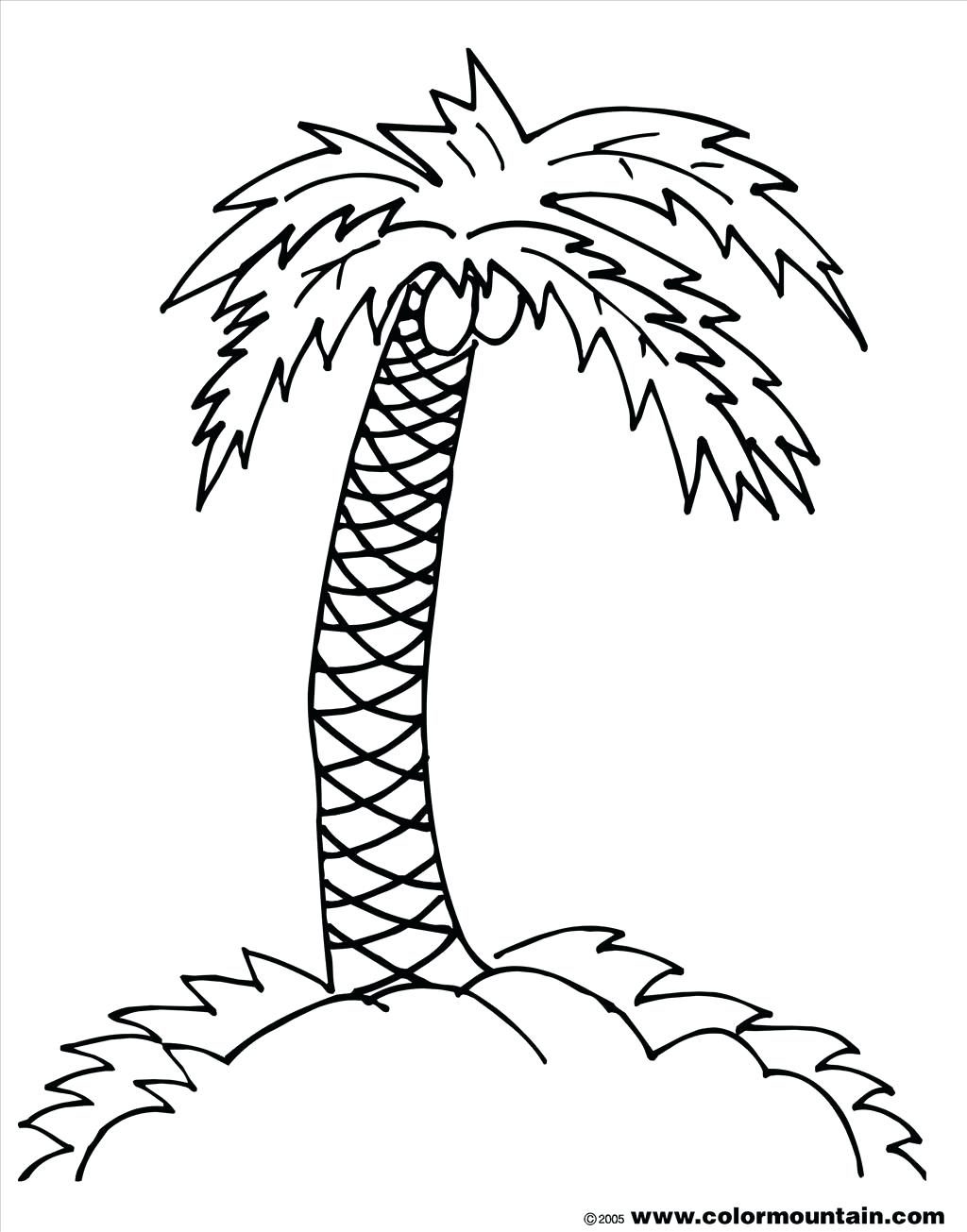 1024x1305 Coloring Page ~ Trees Coloring Pages Good Palm Tree Photograph