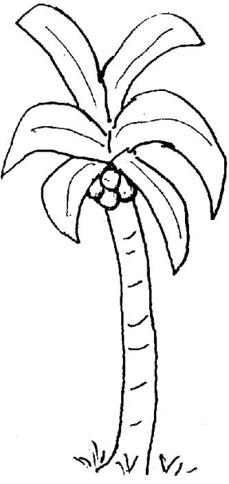 333x702 Chicka Chicka Boom Boom Coloring Pages Printable Coloring
