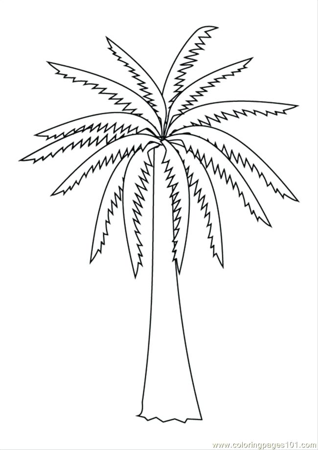 650x918 Coloring Pages Of Trees Coloring Pages S Pages Photo Palm Tree