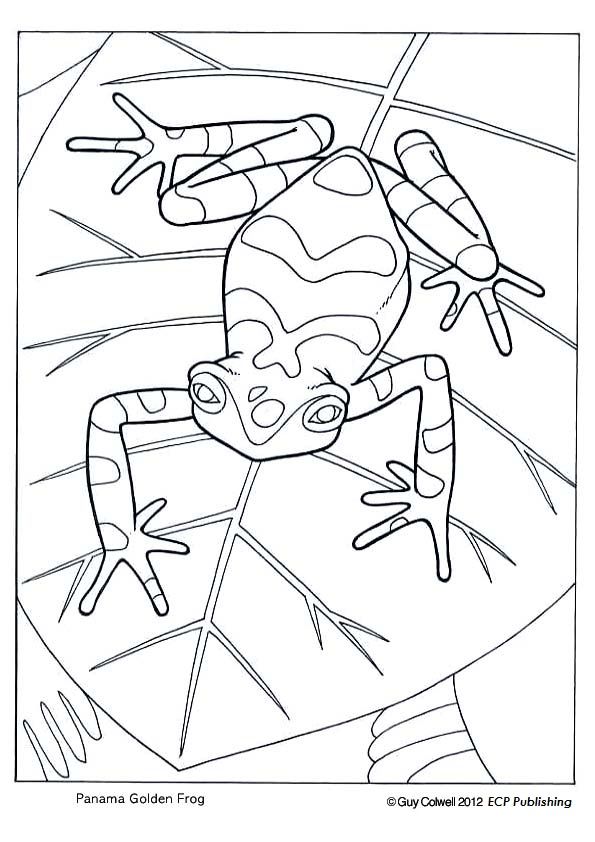 Panama Coloring Pages
