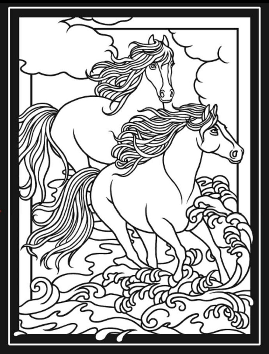 900x1183 Horses 3 D Coloring Book, Dover Publications Dover Coloring