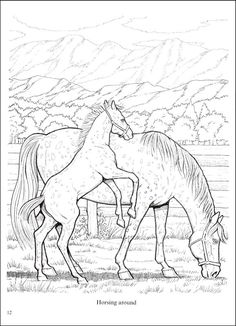 236x326 Coloring Pages Wolf Coloring Adult Wolf, Adult
