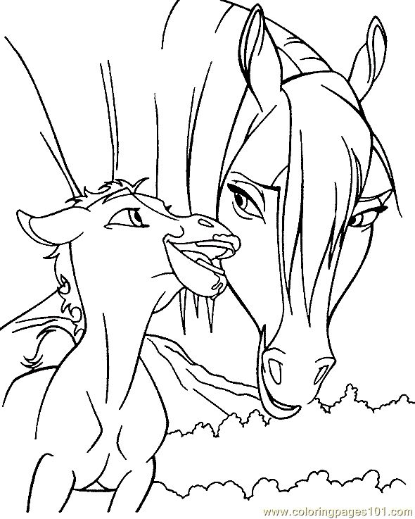 590x737 205 Best Coloring Horses Images On Adult Coloring