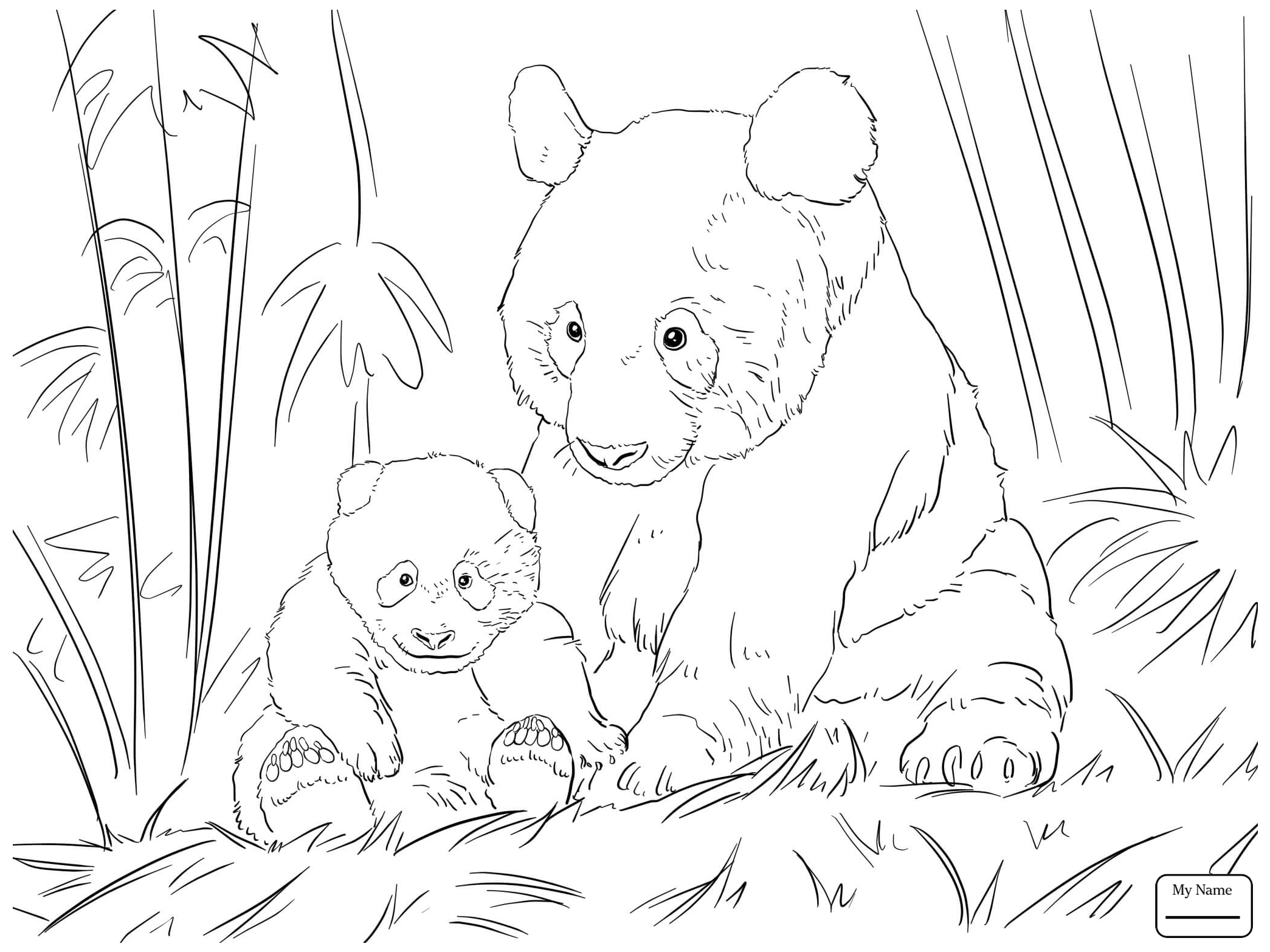 2089x1567 Panda Bear Coloring Pages Panda Bear Coloring Pages 23 Printable