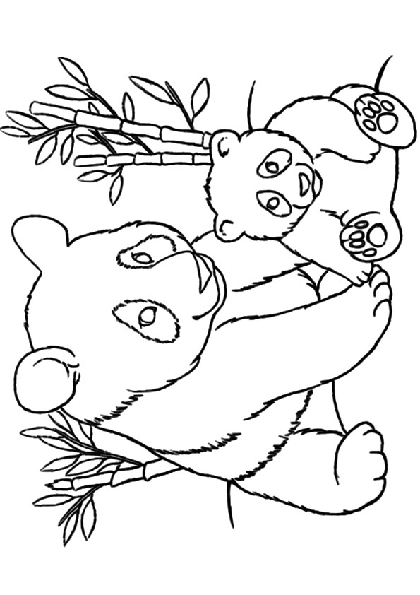 595x842 Bonanza Panda Bear Coloring Pages Print Image Bears And Facebook