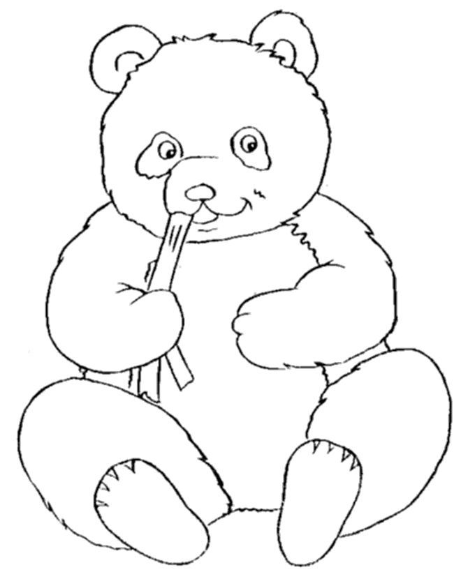 670x820 Top 10 Panda Bear Coloring Pages For Your Little Ones This