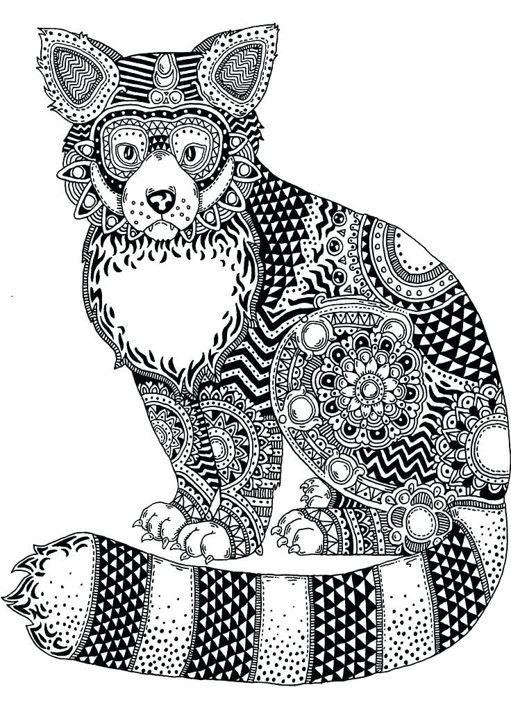 736x1012 Red Panda Coloring Pages Red Panda Coloring Pages Red Panda Pen