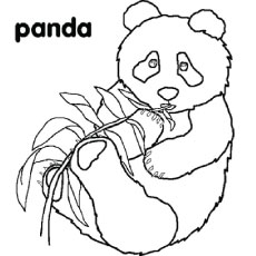 230x230 Top 25 Free Printable Cute Panda Bear Coloring Pages Online