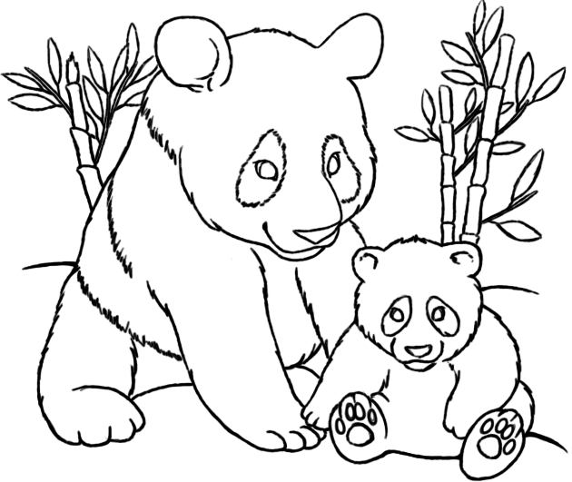 630x531 Panda Coloring Pages Free Printable