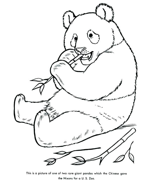 600x734 Giant Panda Coloring Page Coloring Pages Of Pandas Giant Panda