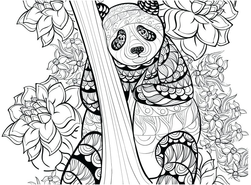 827x609 Panda Coloring Page Panda Coloring Pages Free Printable