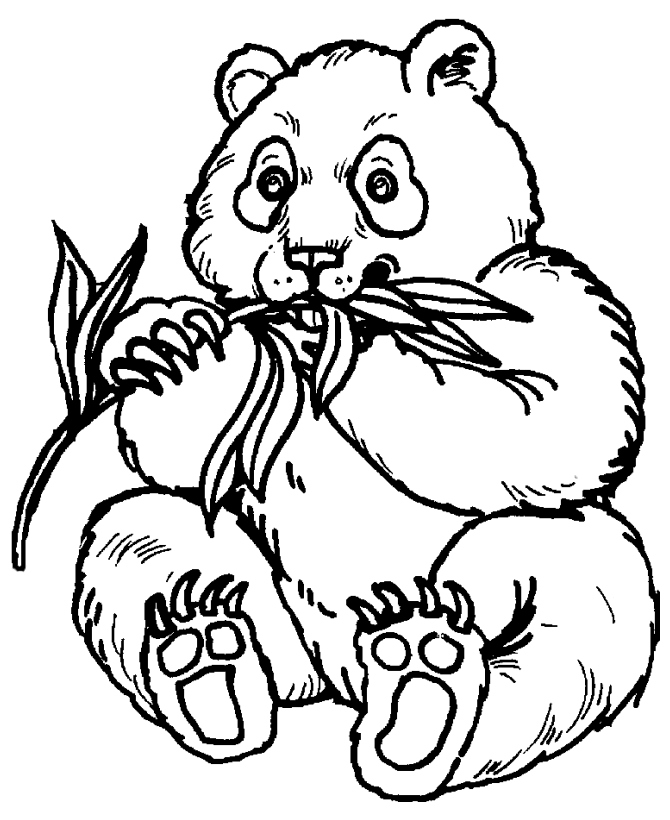 670x820 Panda Coloring Pages New Panda Printable Coloring Pages Logo