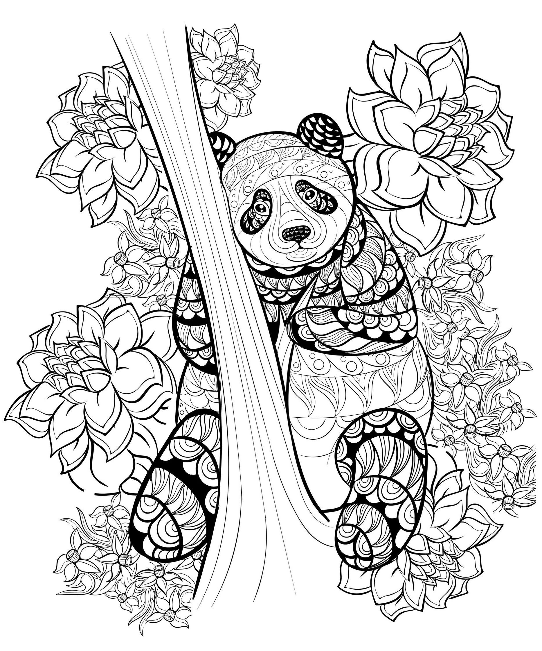 1867x2240 Zentangle Panda Coloring Sheet Printable Coloring Panda