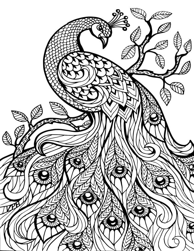 736x952 Free Printable Coloring Pages For Adults Only Image 36 Art