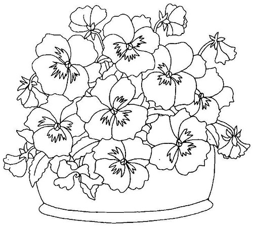 500x446 Pansies Coloring Page