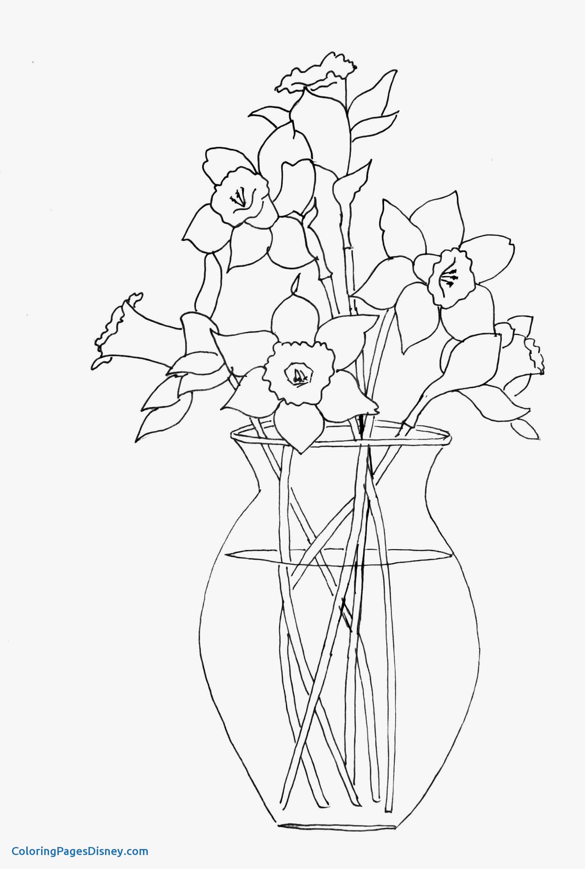 2050x3042 Beautiful Pansy Coloring Pages