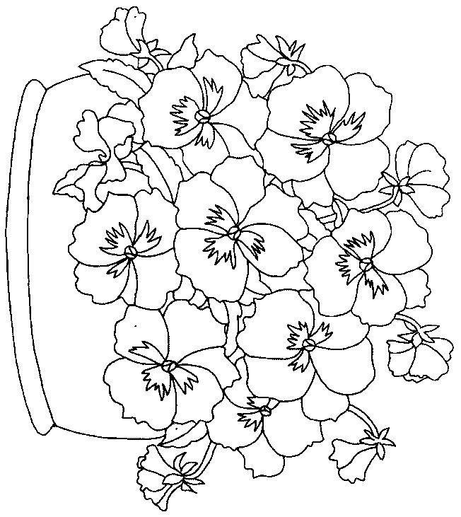 652x731 Pansies Coloring Opage 2