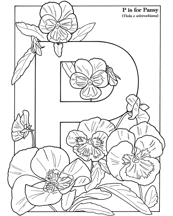 600x750 Hairstyles2 The Language Of Flowers