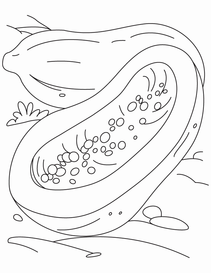 738x954 Olive Tree Coloring Page Best Of Memorial Day Printable Coloring