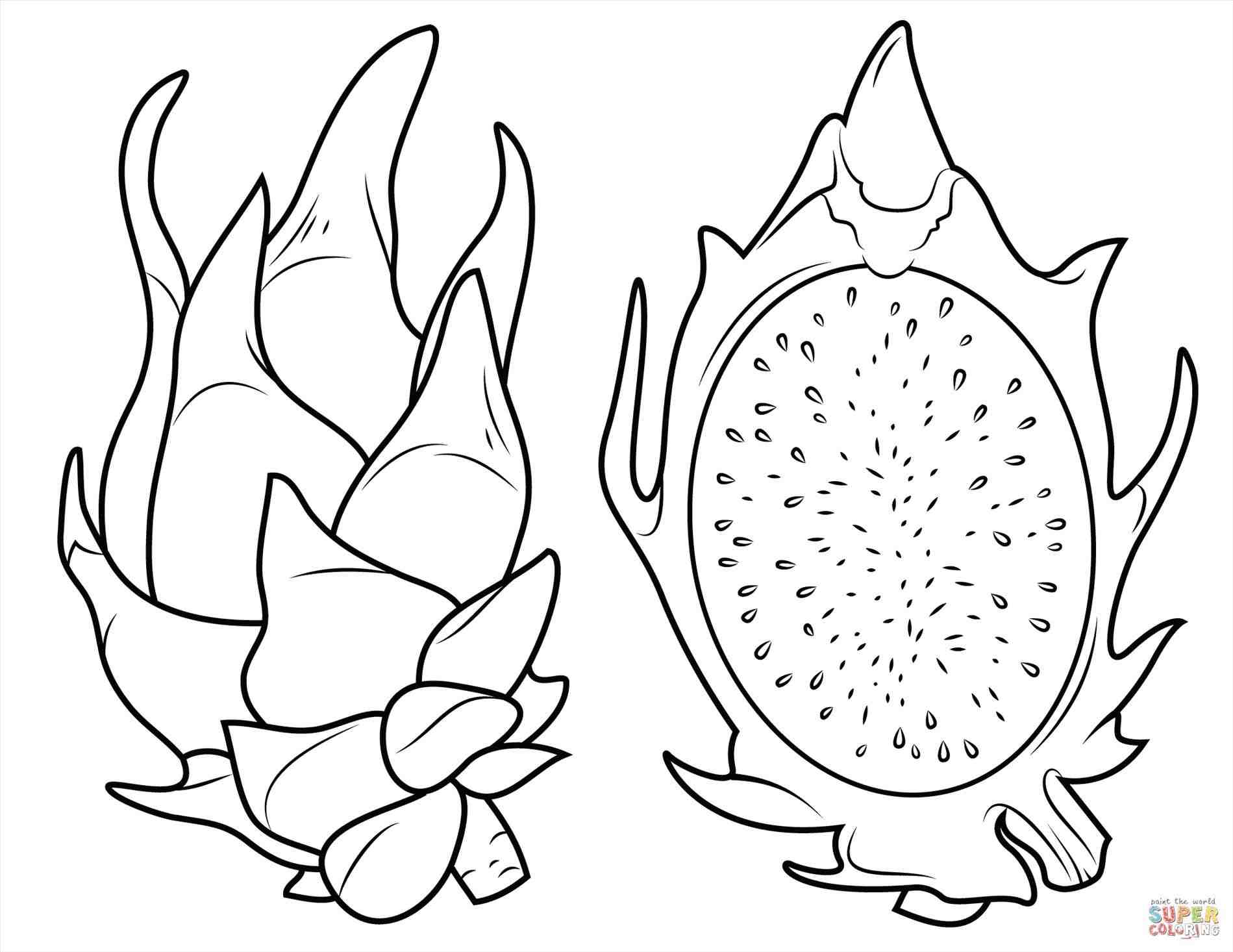 1899x1466 Papaya Tree Coloring Pages Web Coloring Pages