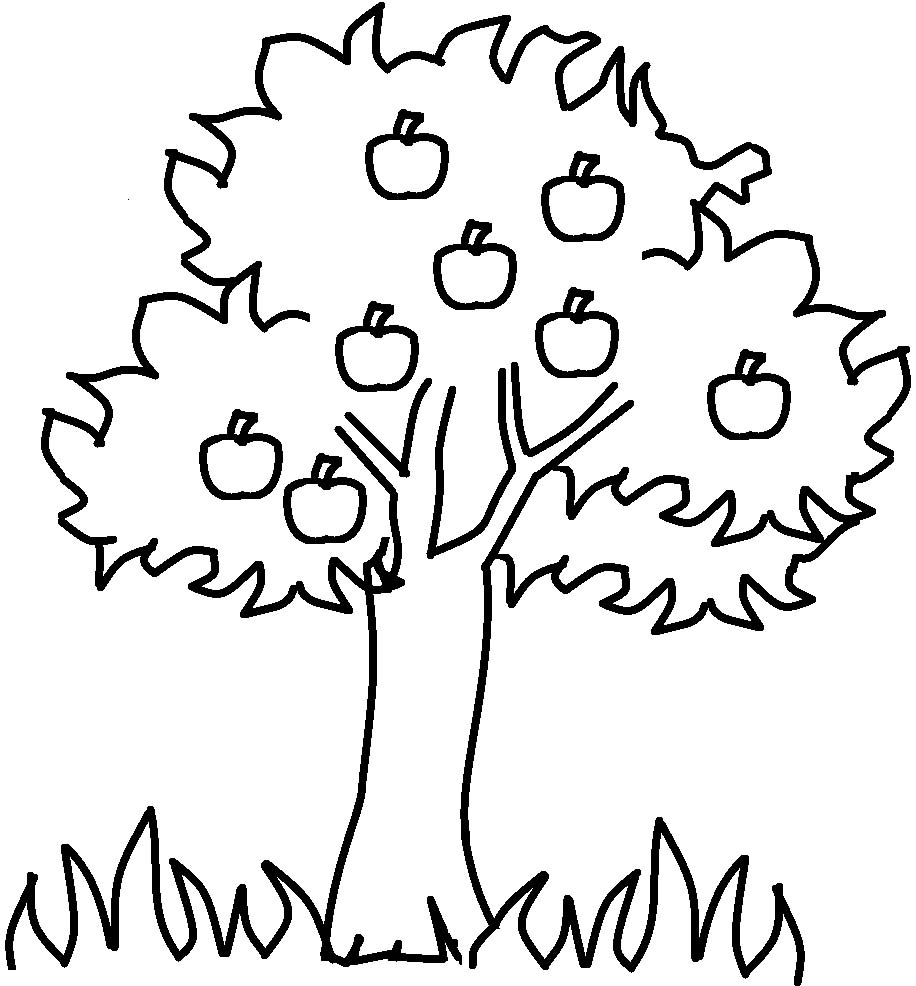 916x986 Unique Fruit Trees Coloring Pages Collection Printable Coloring