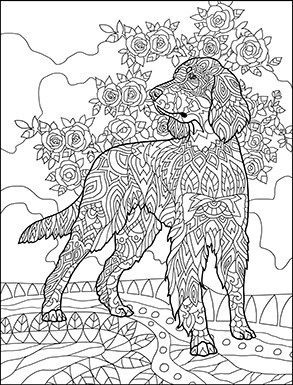 Papillon Dog Coloring Pages
