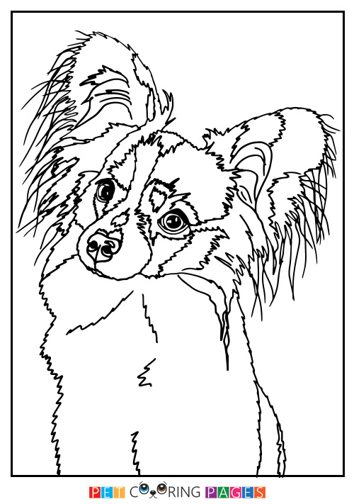 500x711 Papillon Coloring Page Moana