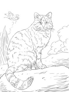 236x314 Papillon Coloring Page Adult Coloring Pages Dogs, Dogs. Dogs