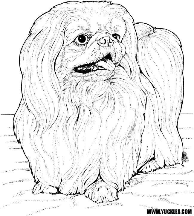 649x720 24 Best Dogs Images On Coloring Books, Coloring Pages