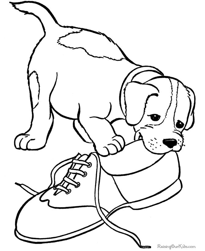 670x820 29 Best Kids And Pets Coloring Pages Images