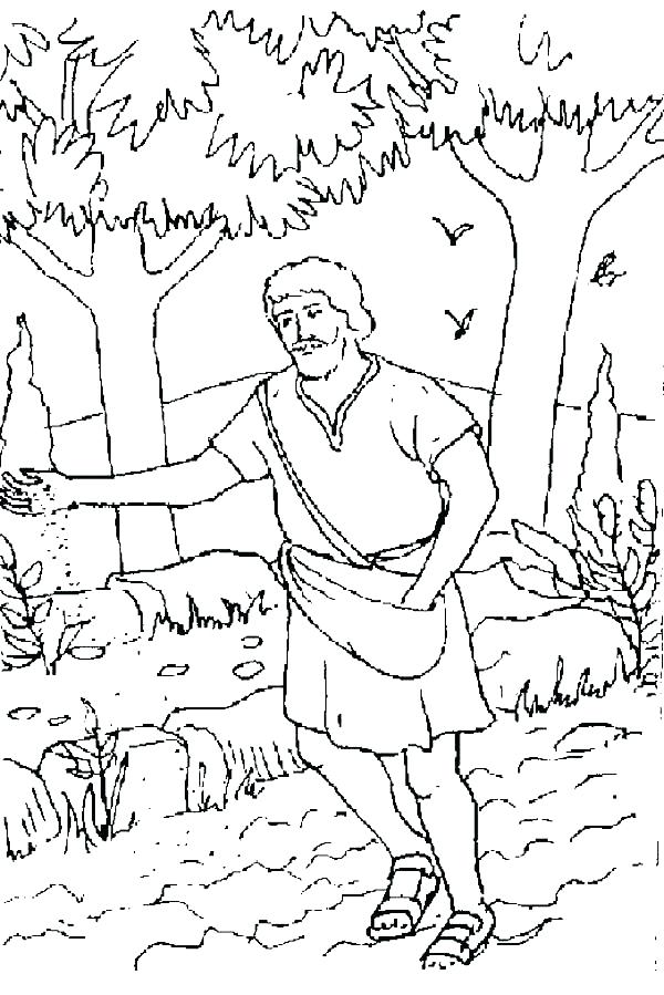 600x899 Mustard Seed Colouring Pages Parable Of The Mustard Seed Coloring
