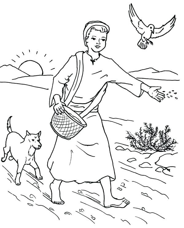 Parable Of The Sower Coloring Page