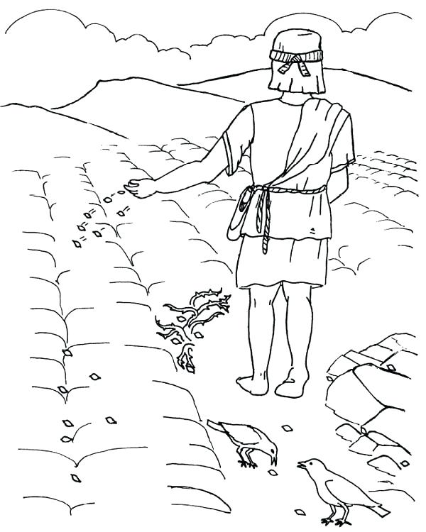 600x750 Parable Of The Sower Coloring Page Good Ground Where Seed Was