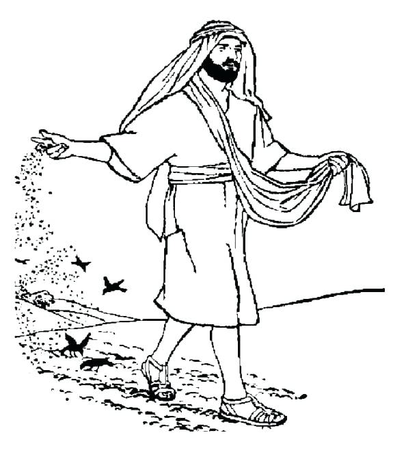 594x690 Parable Of The Sower Coloring Page Seeds Sower Sower And Seed