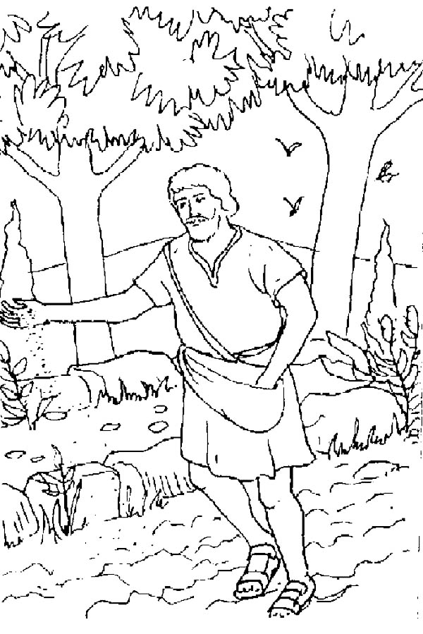 600x899 Realistic Picture Of Parable Of The Sower Coloring Page Color Luna