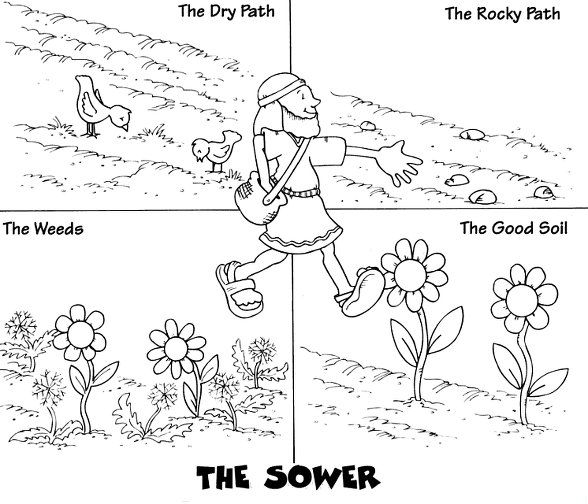 588x504 28 Parable Of The Sower Coloring Page Pictures Free Coloring Pages