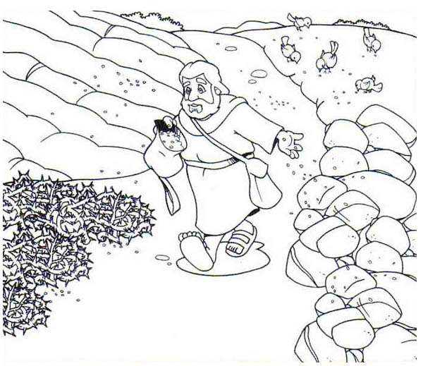 600x519 Scattering Seed Into Rock Places In Parable Of The Sower Coloring