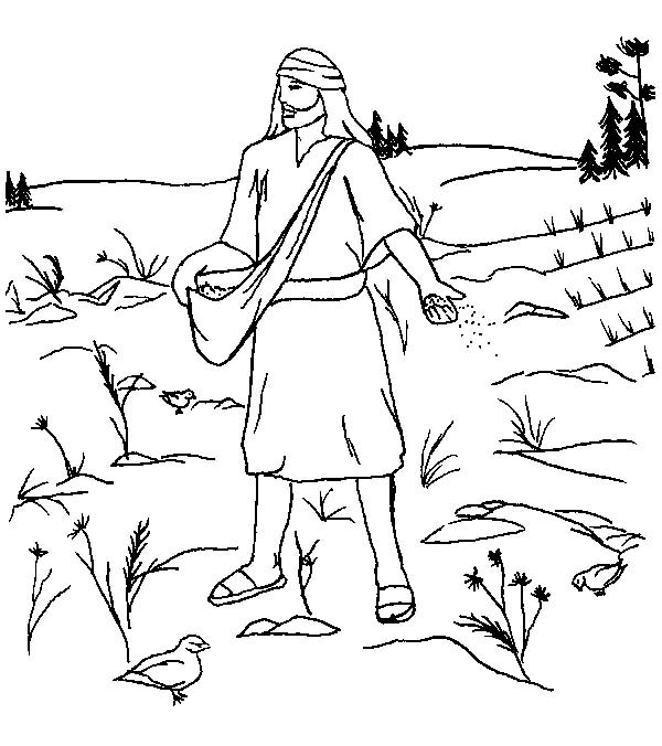 600x676 Land Where So Much Bush In Parable Of The Sower Coloring Page