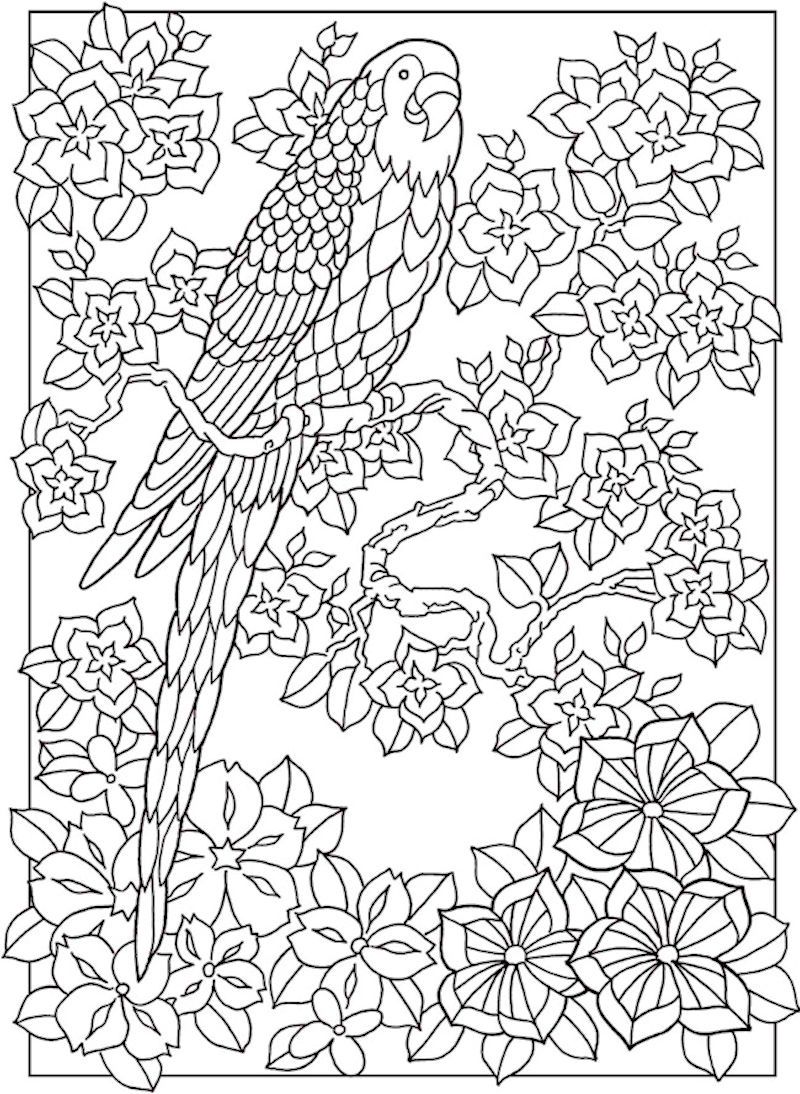 800x1094 Dover Creative Haven Paradise Designs Coloring Page 4 Adult
