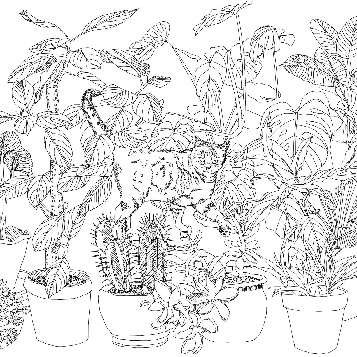 1224x1224 Jungle Coloring Book Magical Colouring Pages King Louie Pdf Adults