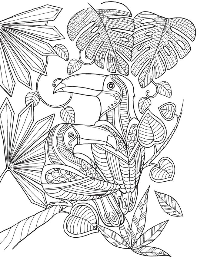 650x872 Keep Calm And Color