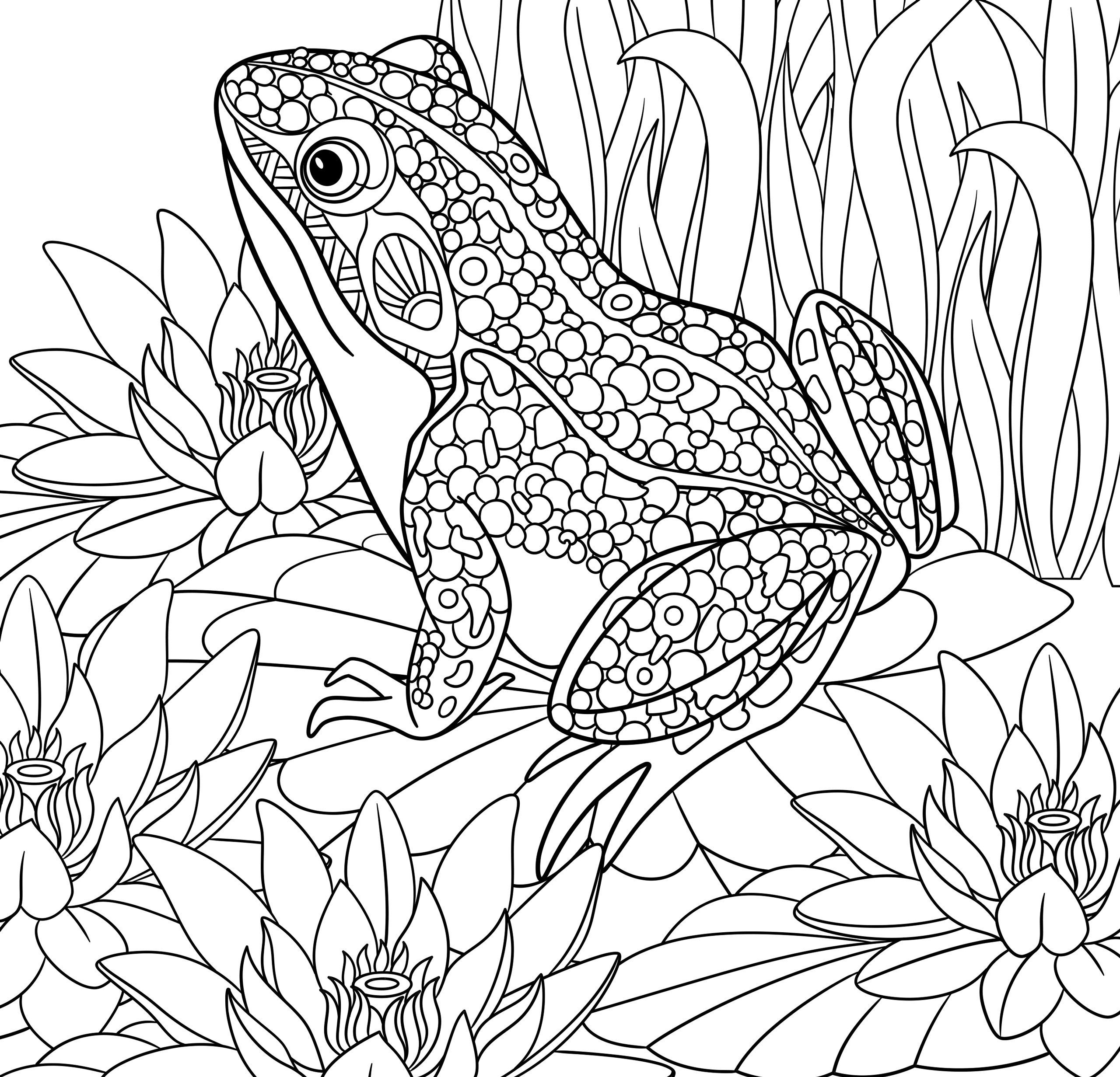 2560x2463 Tropical Paradise Adult Color Cute Coloring Book