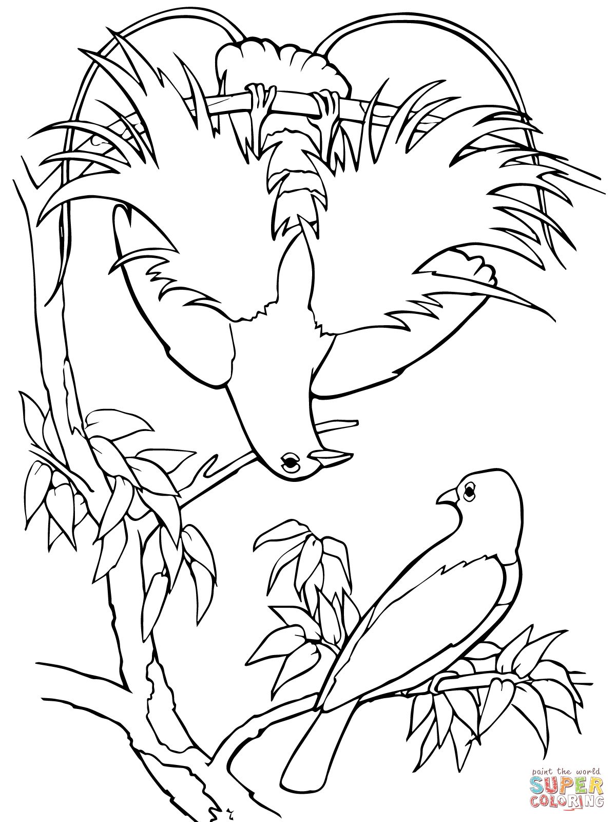 1200x1600 Terrific Bird Of Paradise Coloring Page Blue Super Rainforest