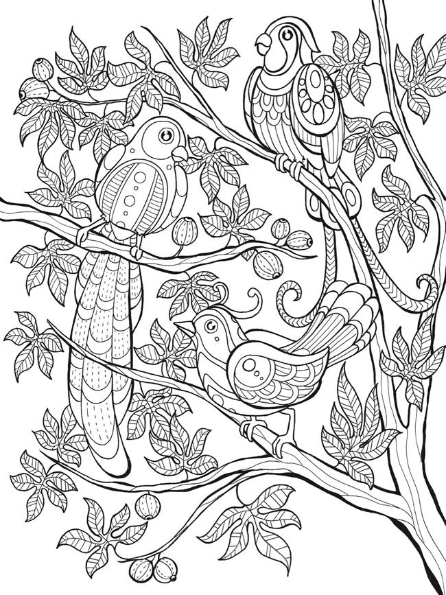 650x867 Welcome To Dover Publications Keep Calm And Color