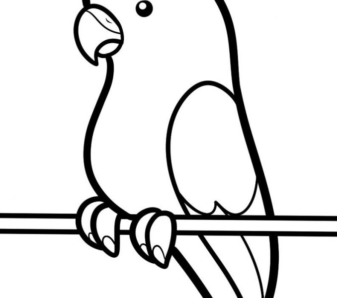 678x600 Outline Drawing For Kids Outline Drawing For Kids How To Draw