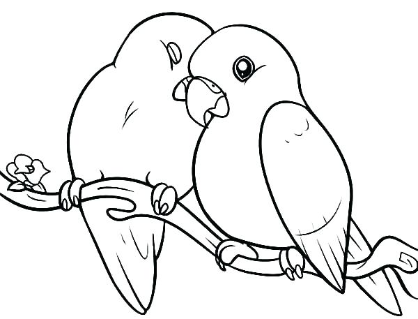 600x457 Parakeet Coloring Page Parakeet Coloring Pages Bird Coloring Page