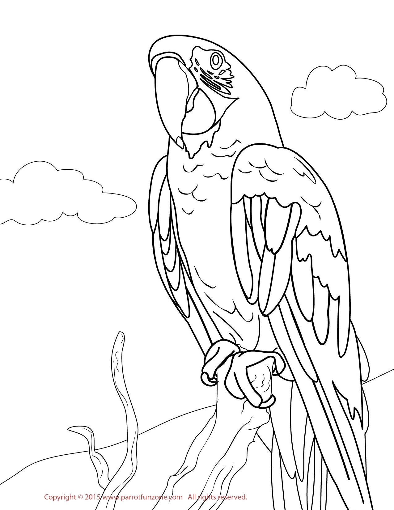 1275x1650 Parakeet Coloring Pages Printable Coloring For Kids 2018
