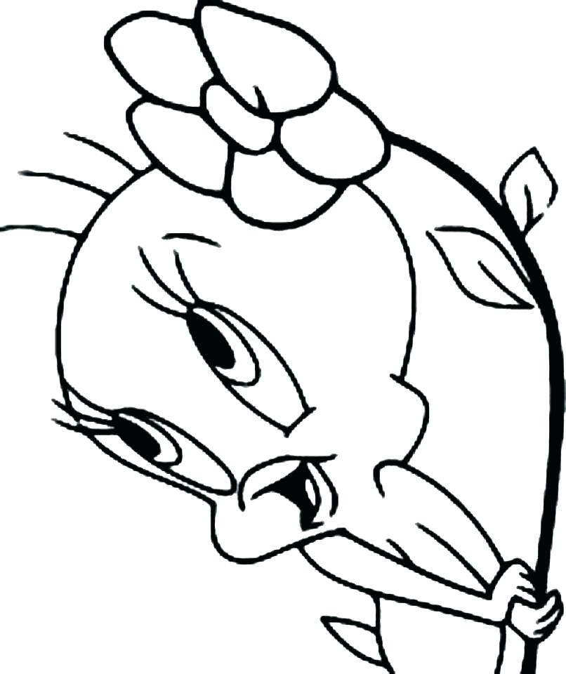 806x960 Parakeet Coloring Pages